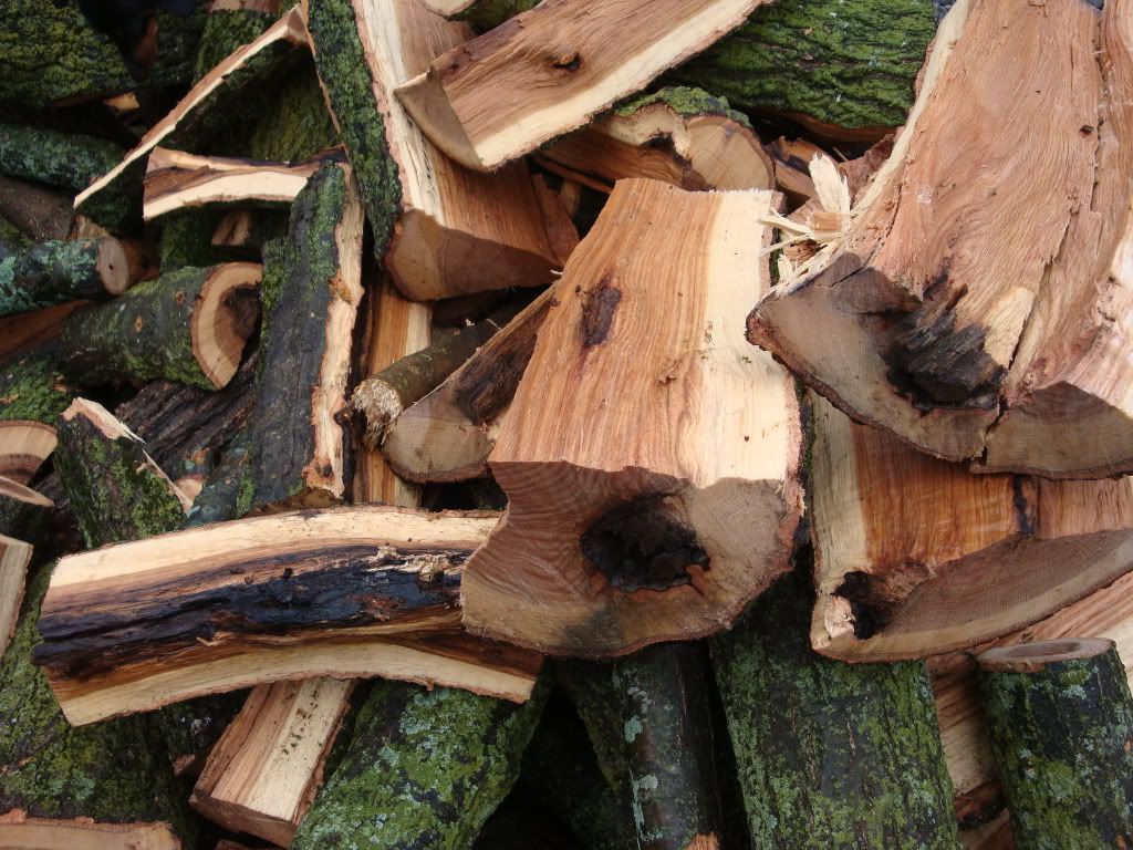 Hard oak! Wtf? Page 2